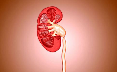 1676267497129497.png 肾肿瘤有什么症状?杭州看肿瘤哪家中医馆比较好