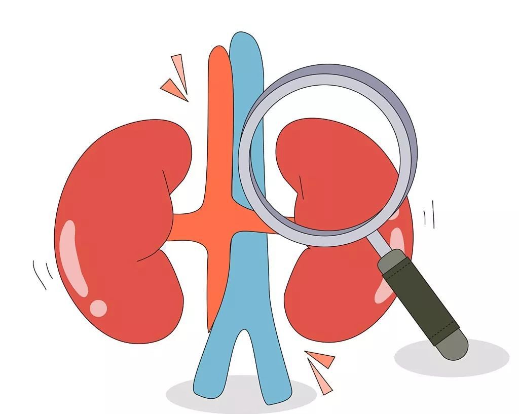 肾癌的早期症状有哪些?肾癌怎么预防