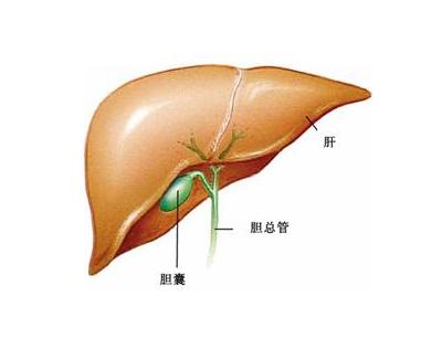 胆囊癌是有什么原因引起的?