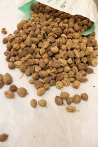 肺癌高发要如何预防？预防肺癌得从这4个方面做起！