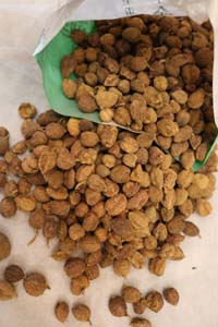 1684994340203901.jpg 胃癌是吃出来的?要警惕,胃癌与这5个不健康的饮食习惯有关!